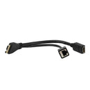 Cisco CAB-PHD4XS2-SPLIT Camera Breakout Cable RJ45 & HDMI